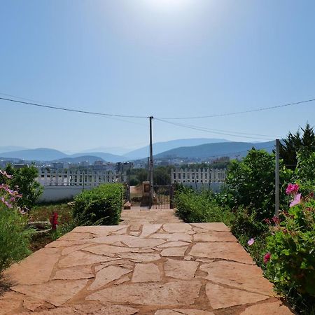 Vila Osmanaj 사밀 외부 사진